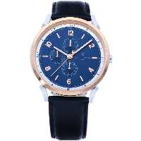 ساعت مچی پیرکاردین مدل CPI.2063