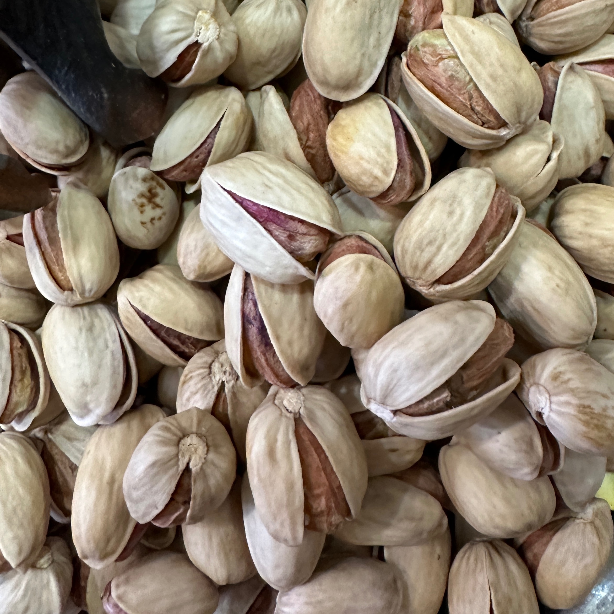 پسته فندقی درجه یک امسالی و درشت یک کیلویی