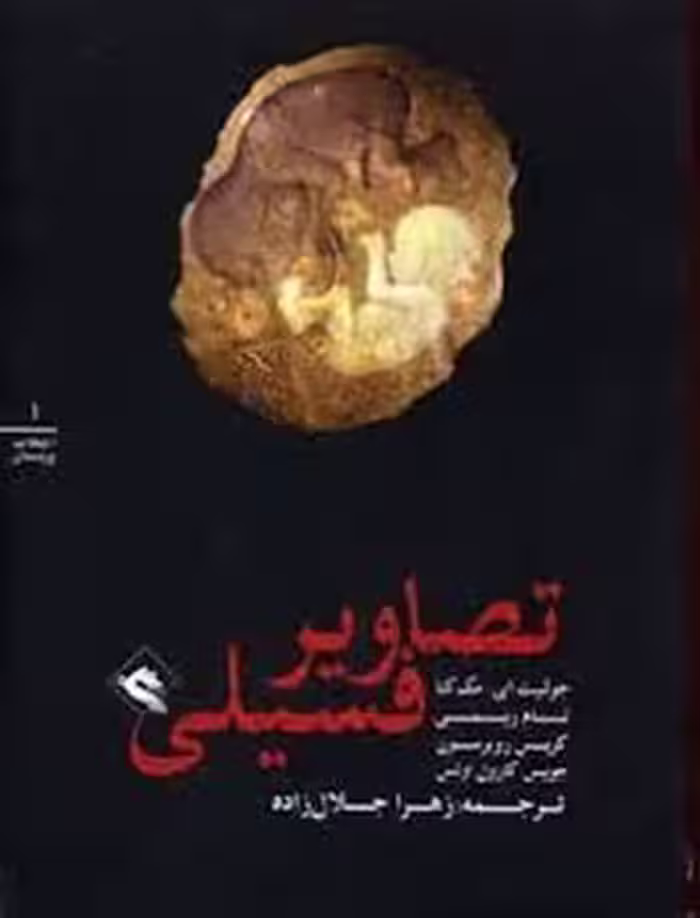 تصاویر فسیلی: انتخاب پریان | مرکز فرهنگی آبی