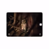 برچسب پوششی ماهوت مدل Owl مناسب برای تبلت سامسونگ Galaxy Tab A 9.7 2015 T550