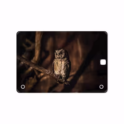 برچسب پوششی ماهوت مدل Owl مناسب برای تبلت سامسونگ Galaxy Tab A 9.7 2015 T550