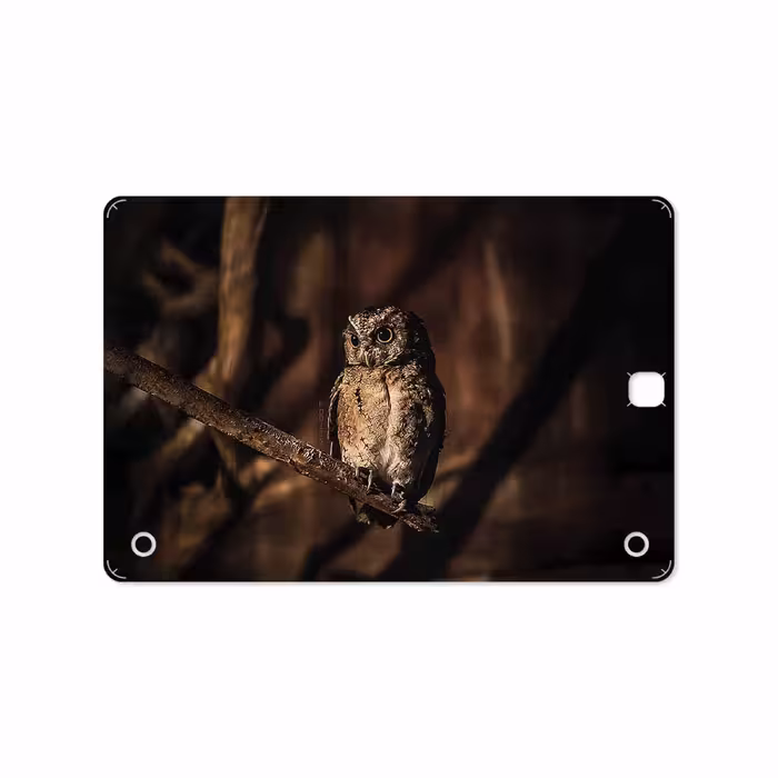 برچسب پوششی ماهوت مدل Owl مناسب برای تبلت سامسونگ Galaxy Tab A 9.7 2015 T550