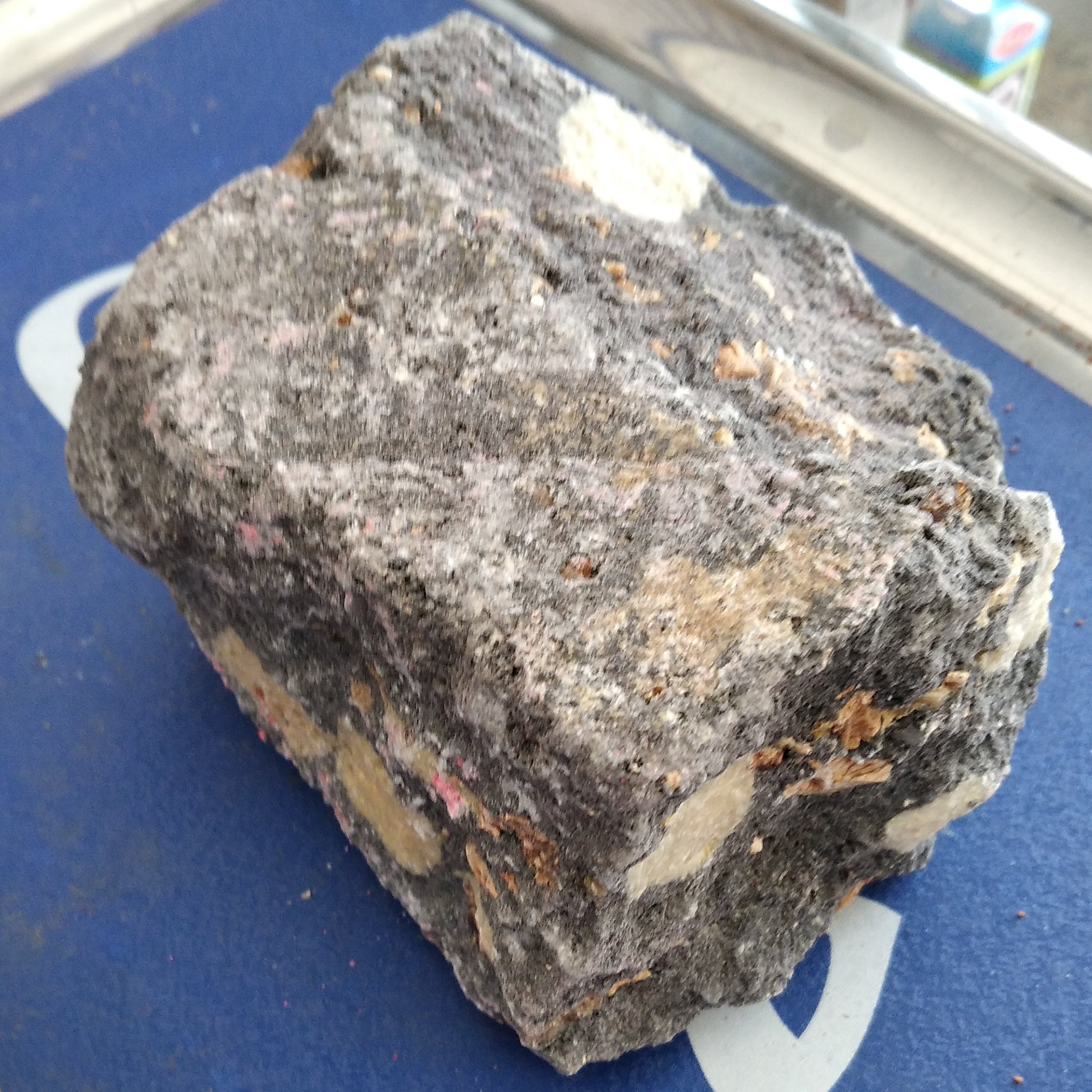 جاوی سیاه (100 گرمی)