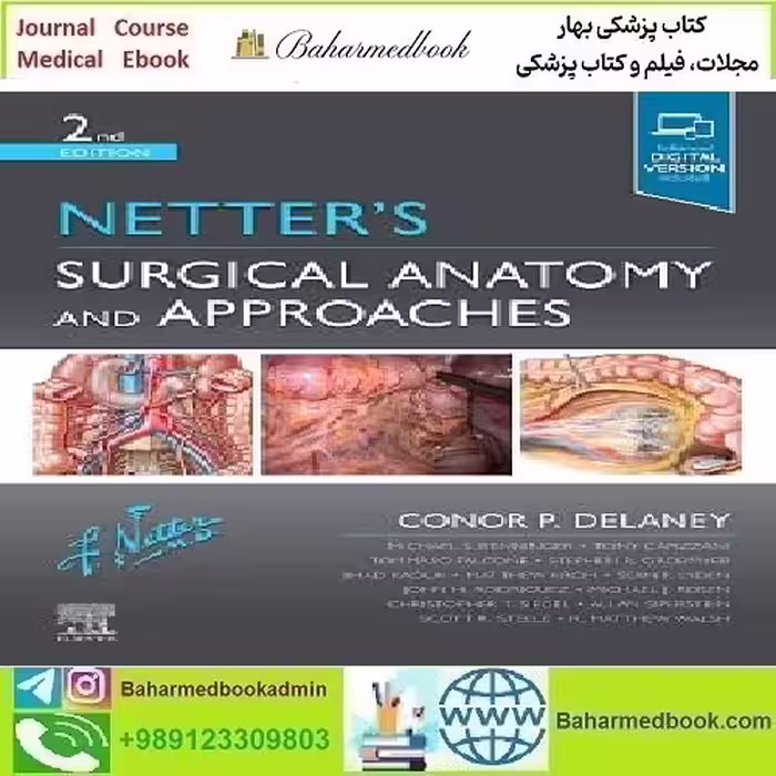 Netter's Surgical Anatomy and Approaches Video 2021
