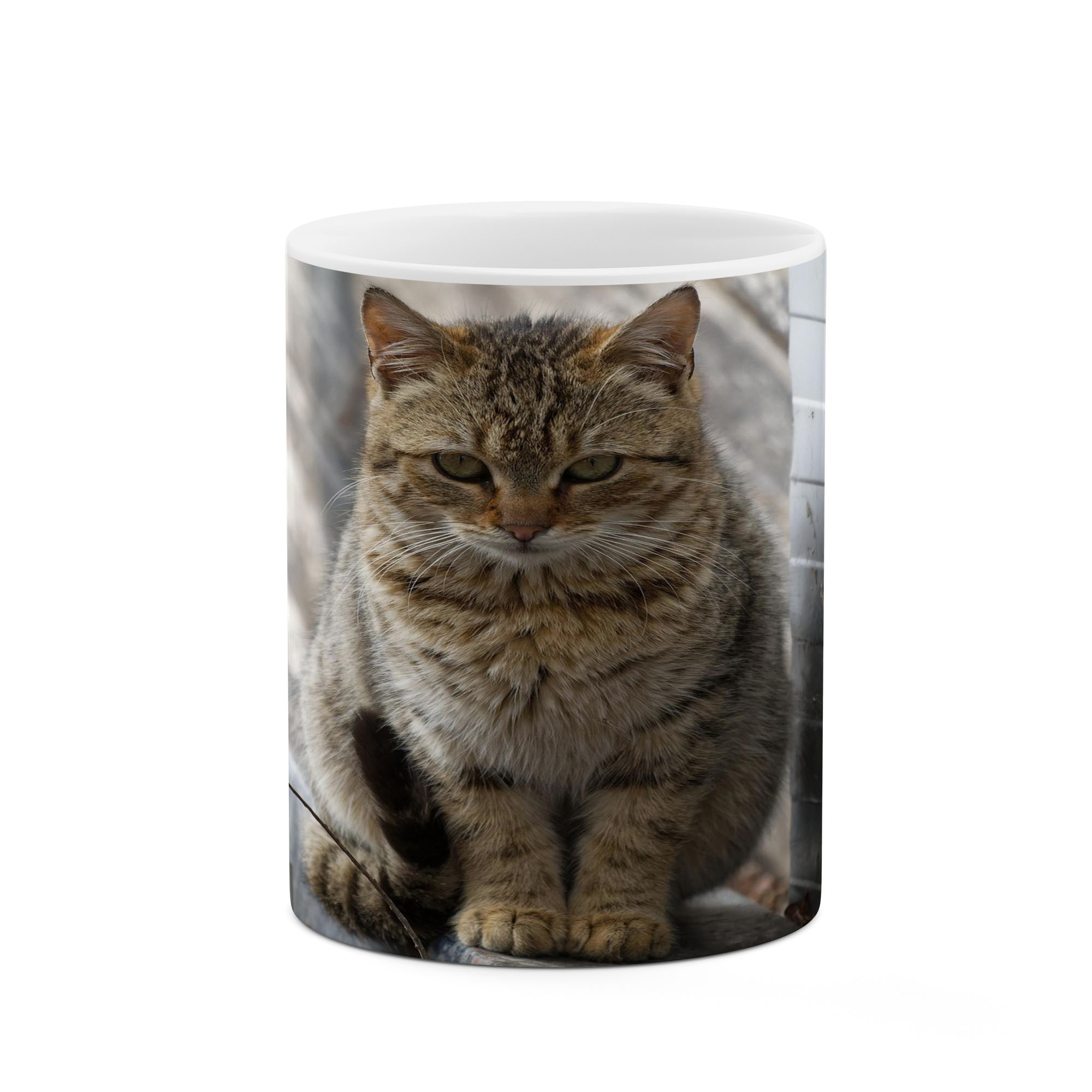 ماگ کاکتی طرح گربه مدل mgs17395