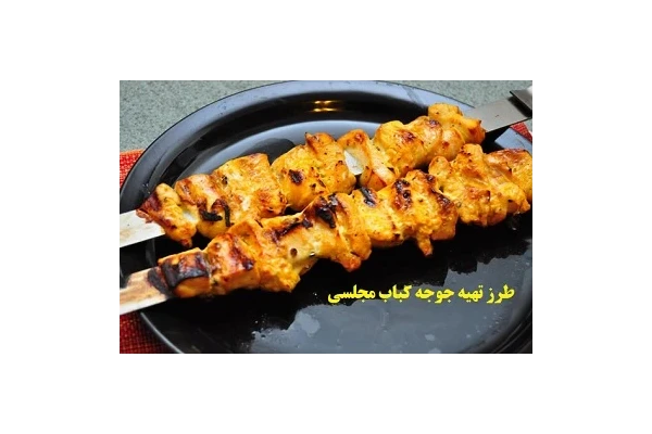 طرز تهیه جوجه کباب مجلسی PDF - کتابخانه مجازی واتیکان