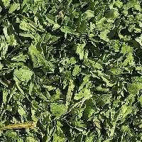 سبزی خشک جعفری - (فله 2 کیلویی) - محصولی از برند صادراتی فردوس ناب