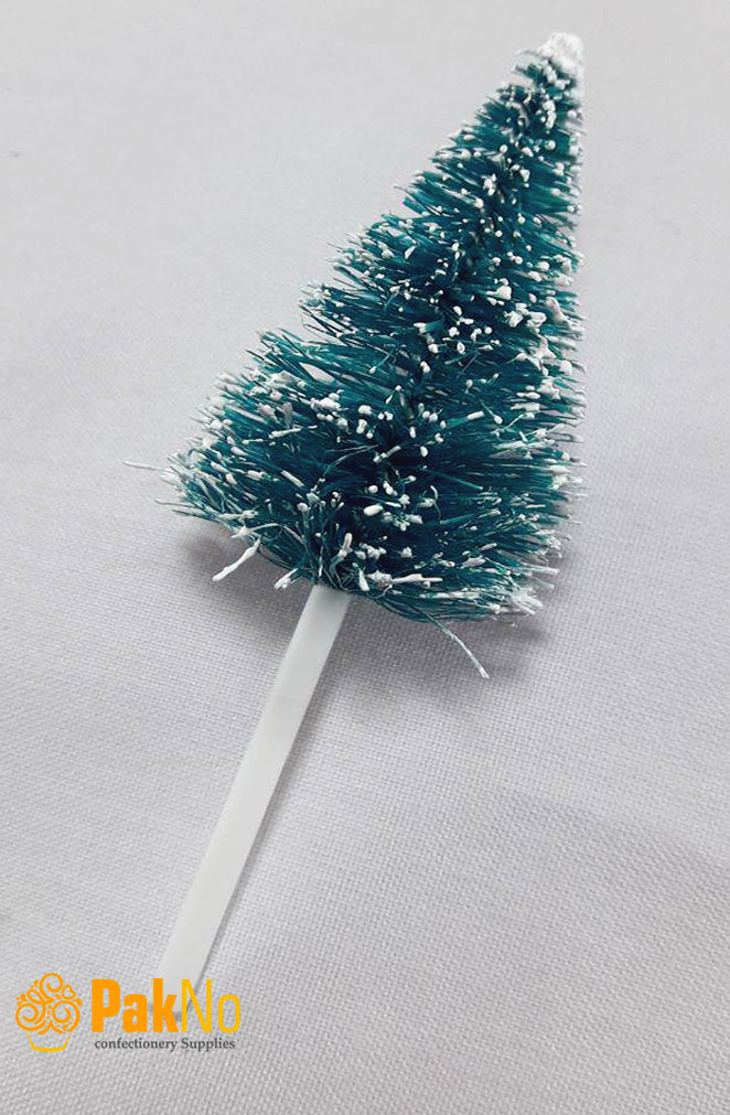 کاج تزیینی تکی