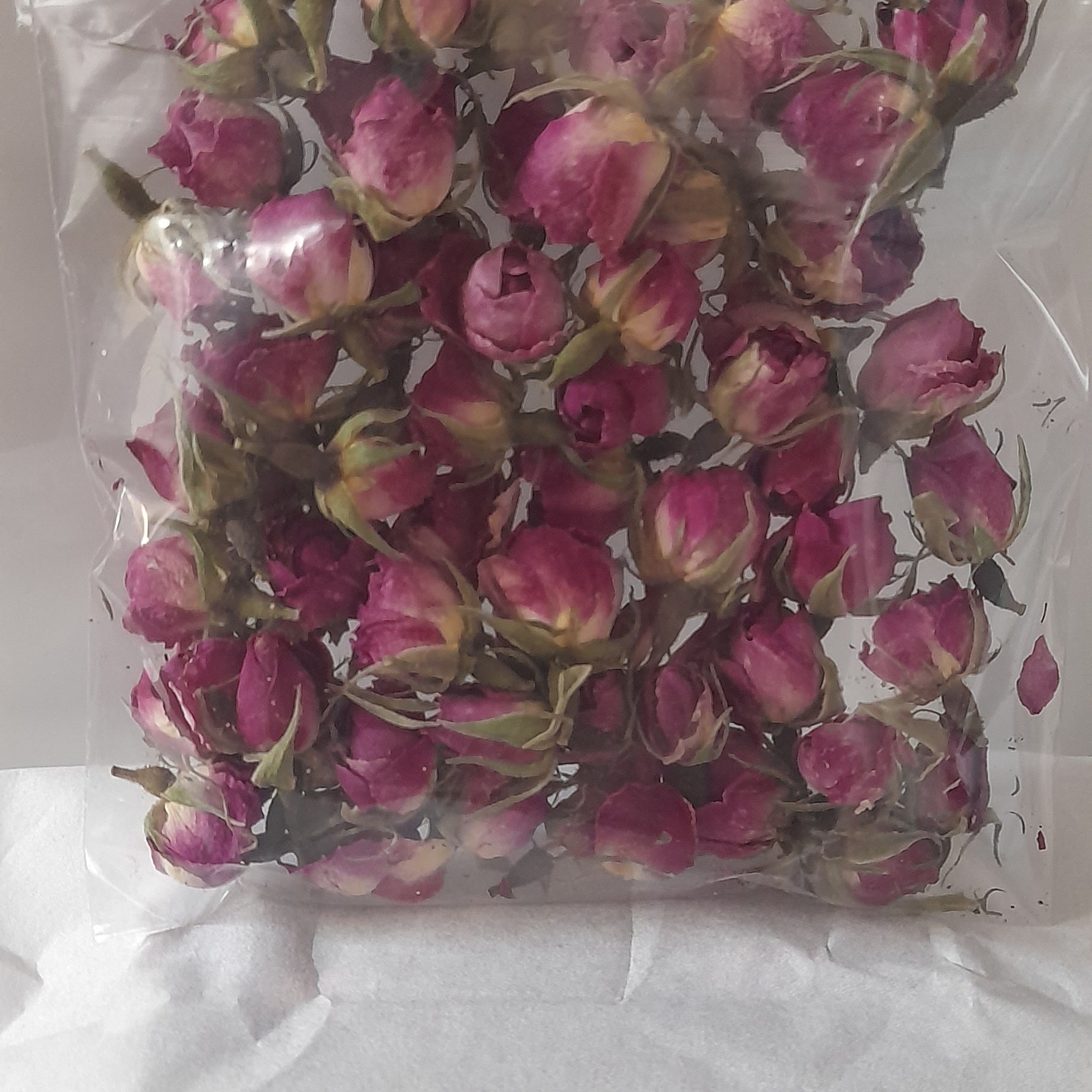 غنچه گل محمدی 