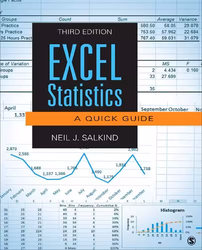 خرید و دانلود نسخه کامل کتاب Excel Statistics: A Quick Guide