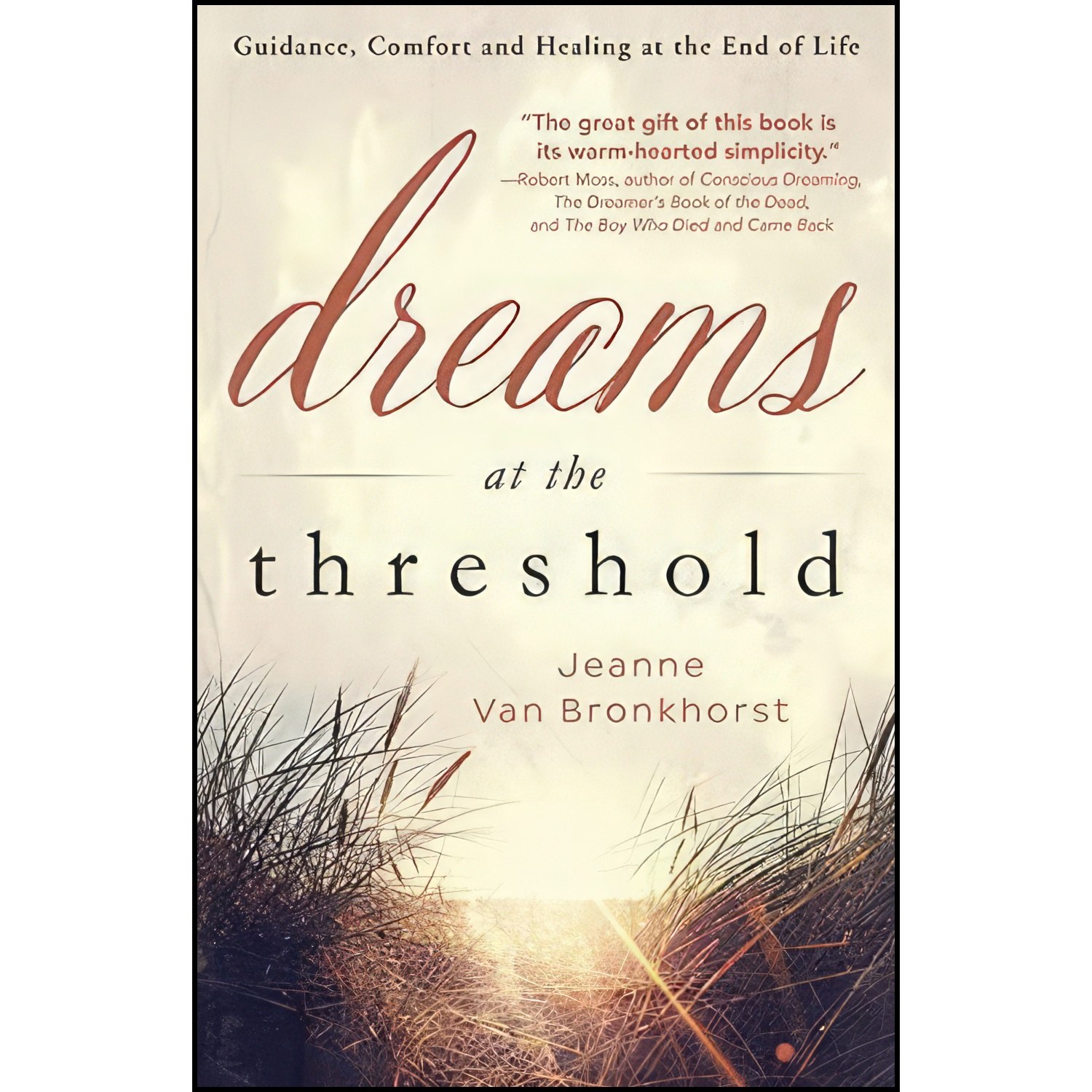 کتاب زبان اصلی Dreams at the Threshold اثر Jeanne Van Bronkhorst
