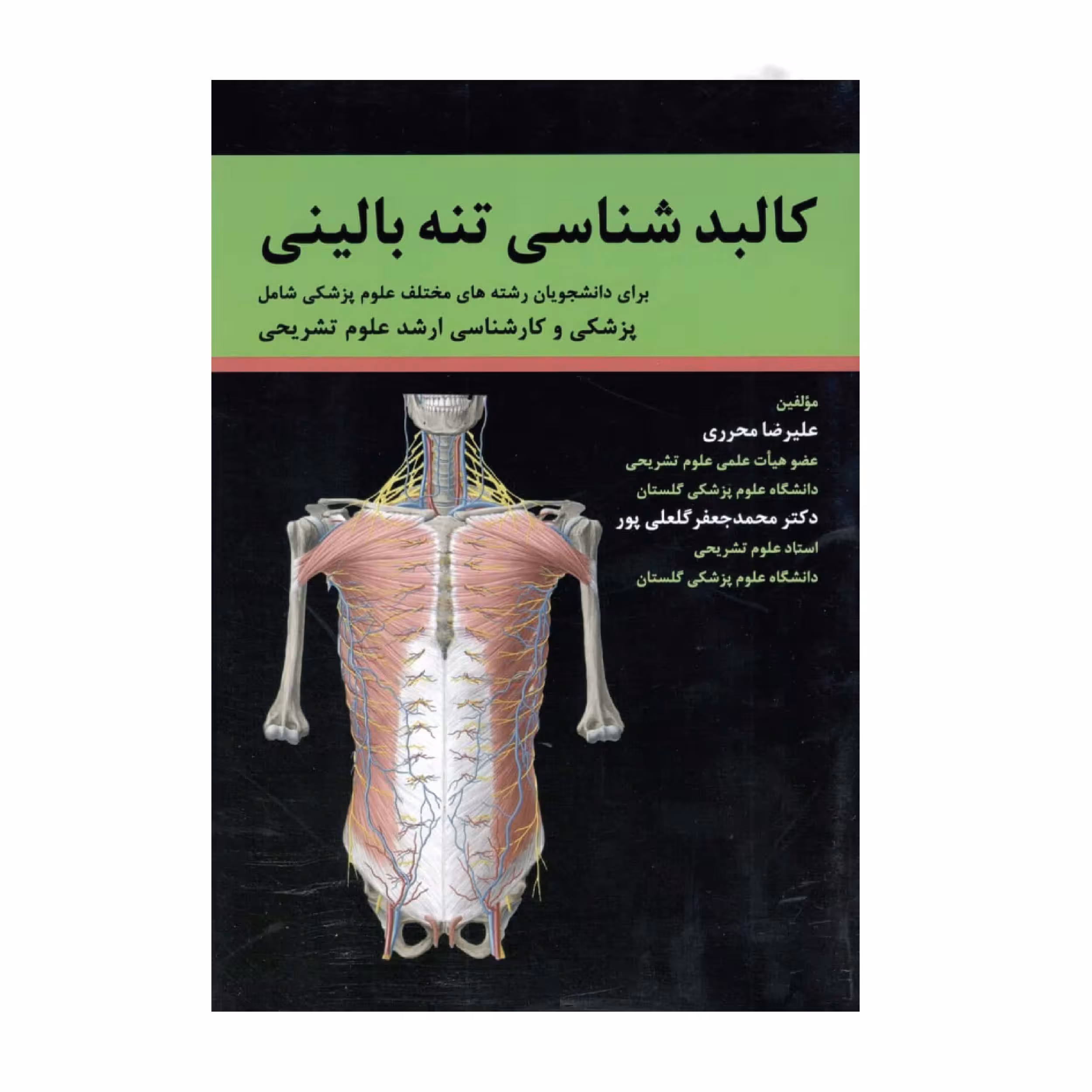 کتاب کالبد شناسی تنه بالینی اثر دکتر علیرضا محرری انتشارات حیدری