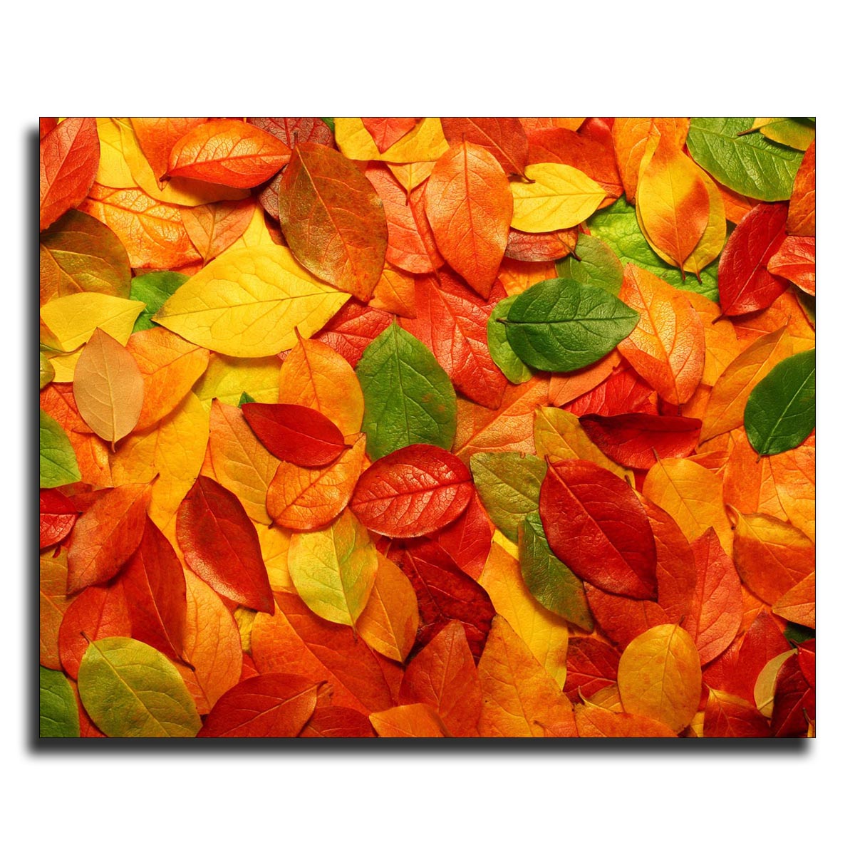 تابلو شاسی طرح A13