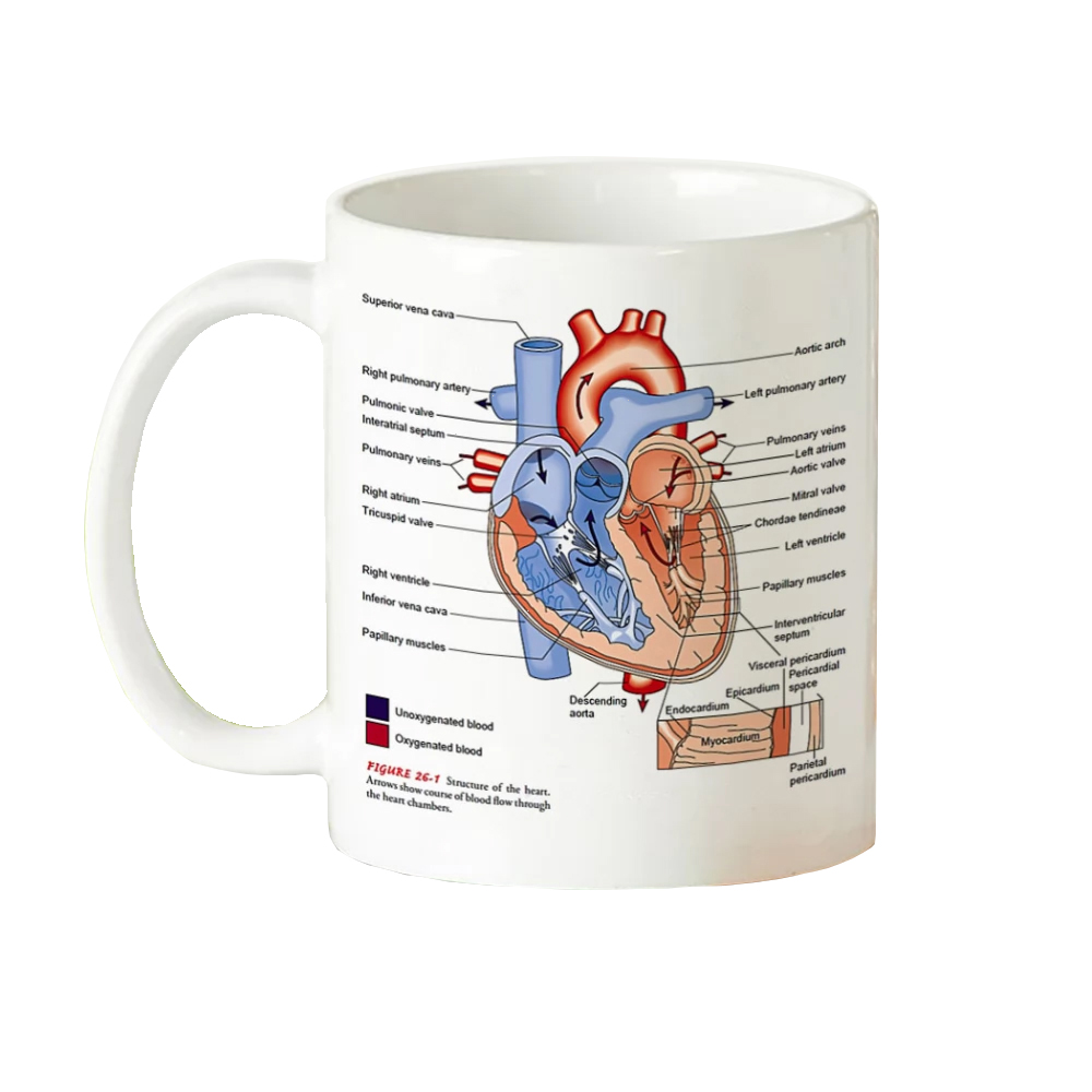 ماگ طرح دانشجو پزشکی