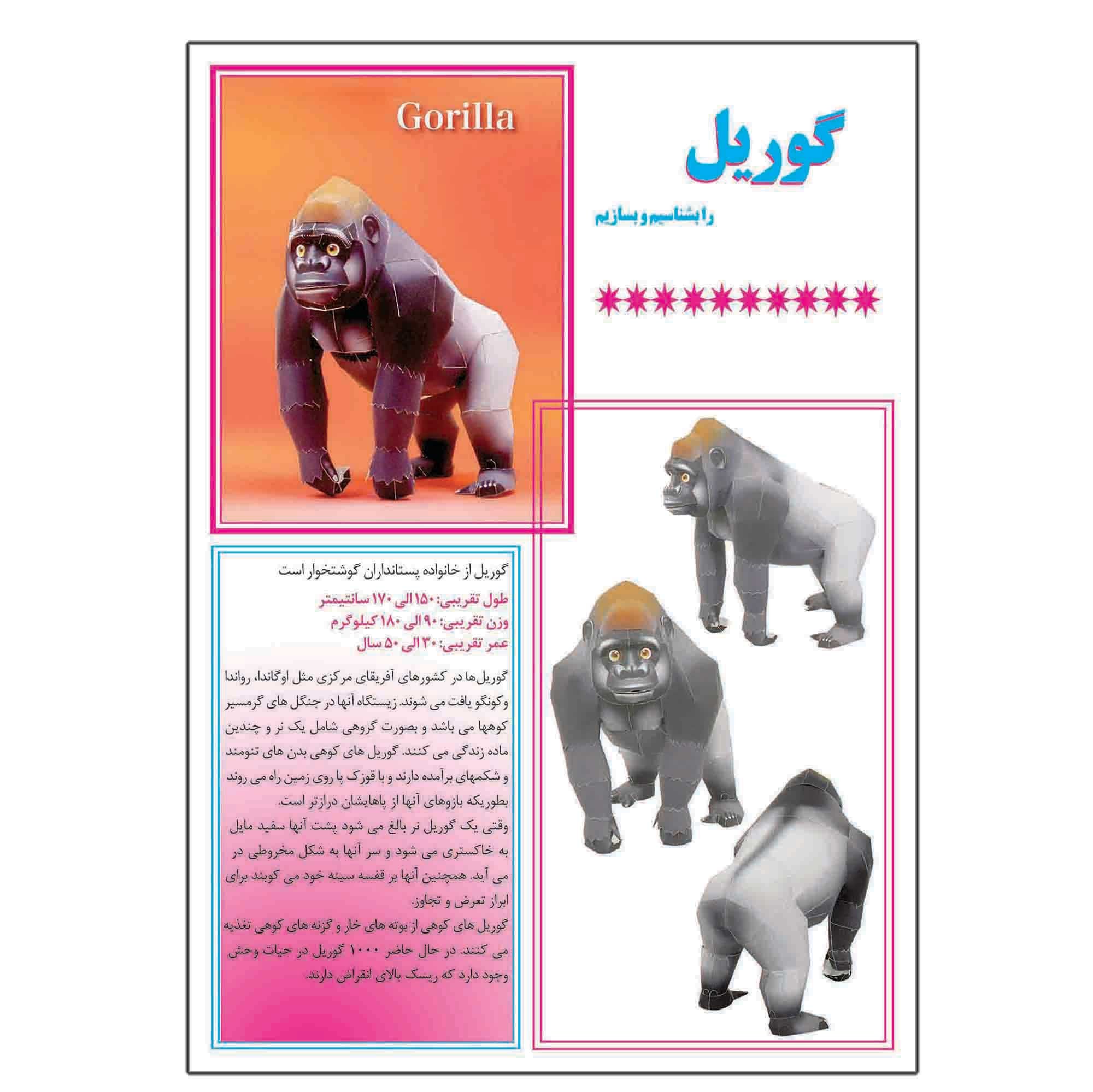 کتاب کاردستی حیوانات گوریل هوش و خلاقیت نشر کاردستی