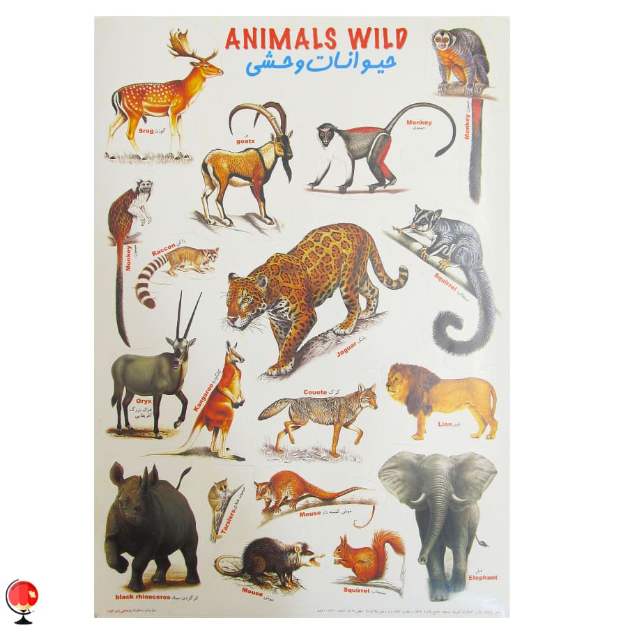 مجموعه برچسب A4 حیوانات وحشی