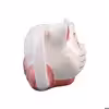 ماگ مدل گربه اشرافی
