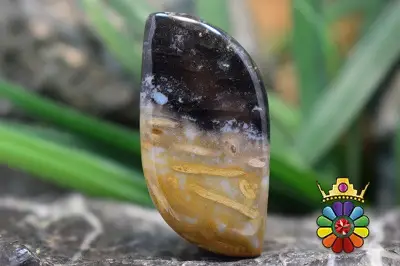 پلام وود جاسپر