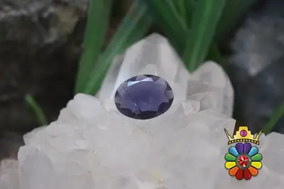 ایولیت (کوردیریت)