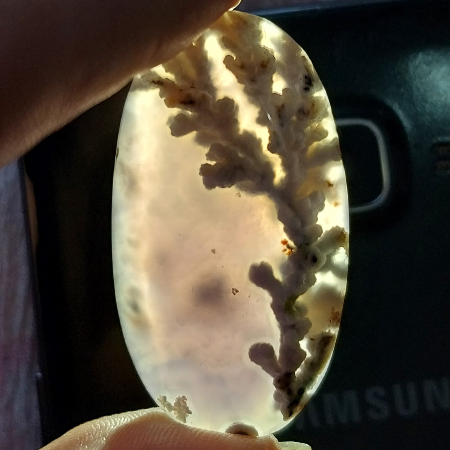 نگین شجر تک درخت در عقیق سوسنی خاص