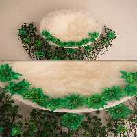 بک دراپ عکاسی نوزادی | گرافیک با طعم تربچه