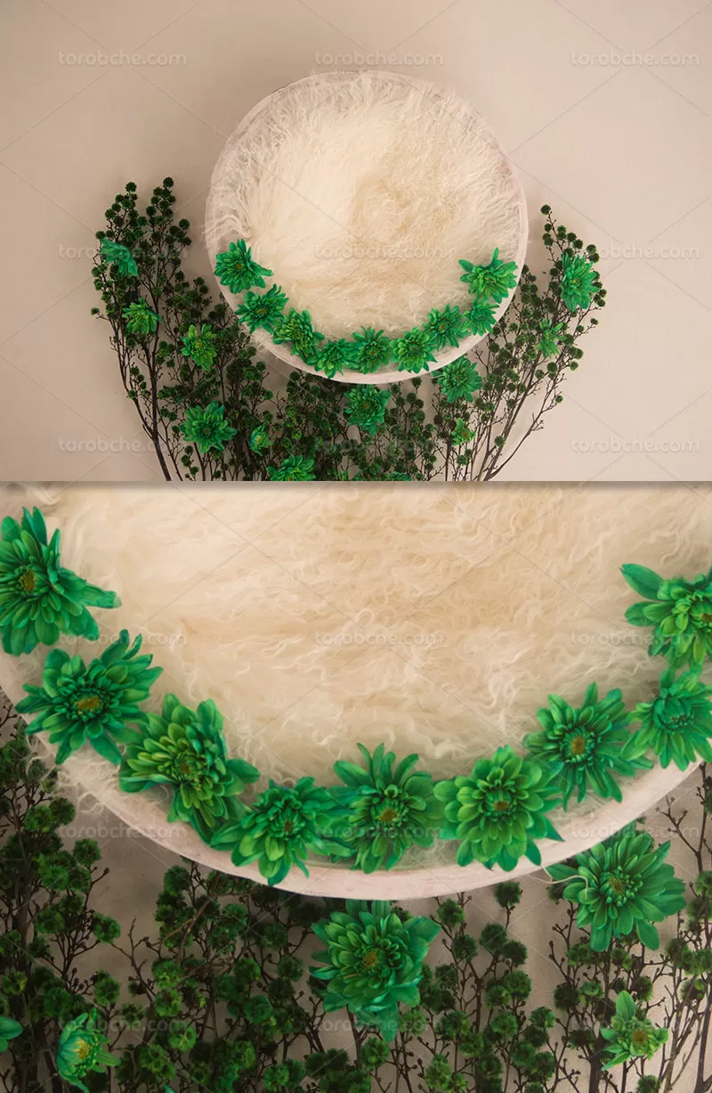 بک دراپ عکاسی نوزادی | گرافیک با طعم تربچه