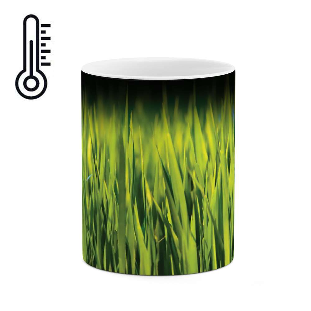 ماگ حرارتی طرح طبیعت مدل mgh04110