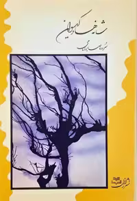 شانه ها و گیسوان اثر صابر امامی