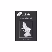 کتاب مایزلیس (جیبی) اثر رضا رضایی
