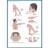 کتاب Textbook of Medical surgical nursing اثر Janice Hinkle انتشارات Miscellaneous
