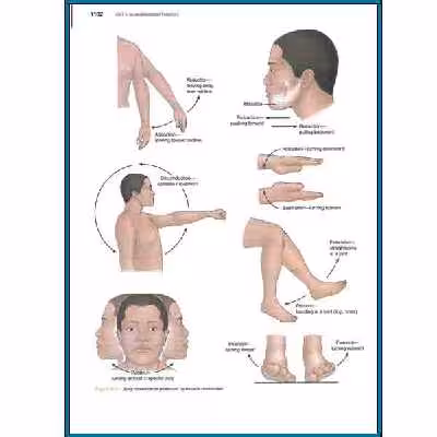 کتاب Textbook of Medical surgical nursing اثر Janice Hinkle انتشارات Miscellaneous