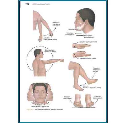 کتاب Textbook of Medical surgical nursing اثر Janice Hinkle انتشارات Miscellaneous