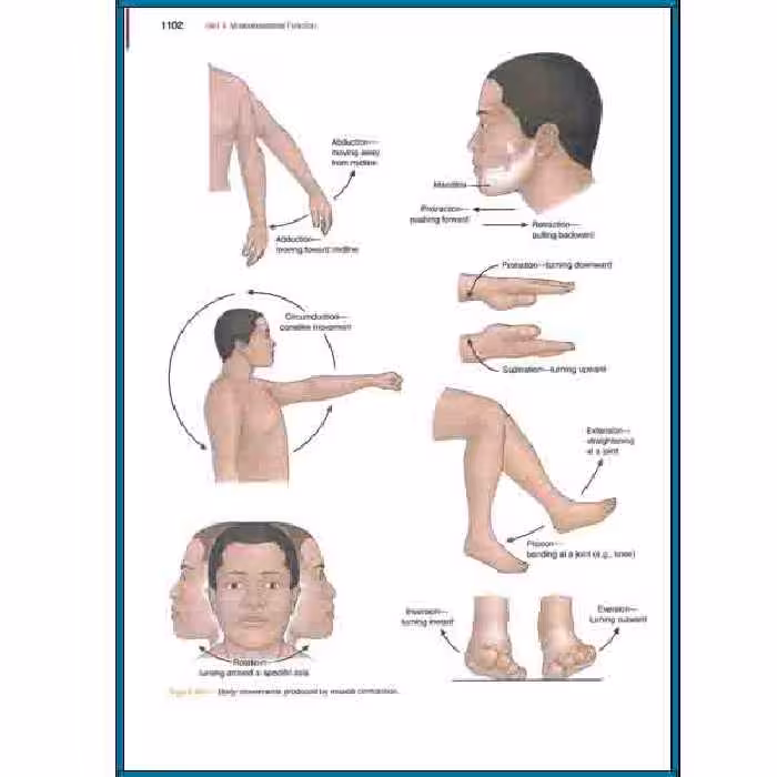 کتاب Textbook of Medical surgical nursing اثر Janice Hinkle انتشارات Miscellaneous