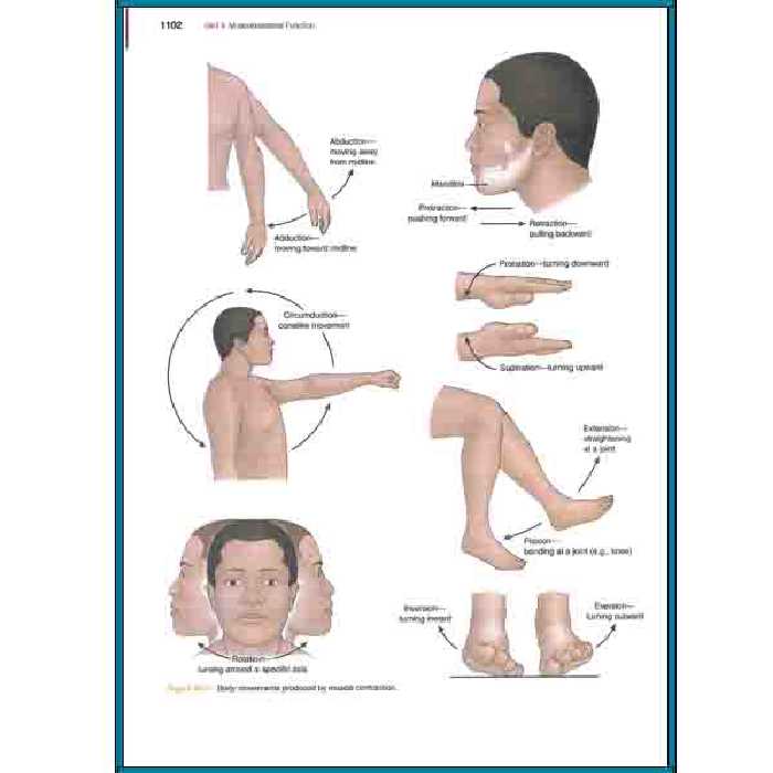 کتاب Textbook of Medical surgical nursing اثر Janice Hinkle انتشارات Miscellaneous