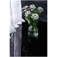 پلکسی کوچک مشکی سایز (90 * 60)