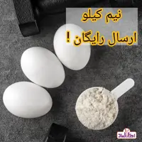 پودر سفیده تخم مرغ  500 گرمی اعتماد(تخفیف شگفت انگیز) | amazonchi