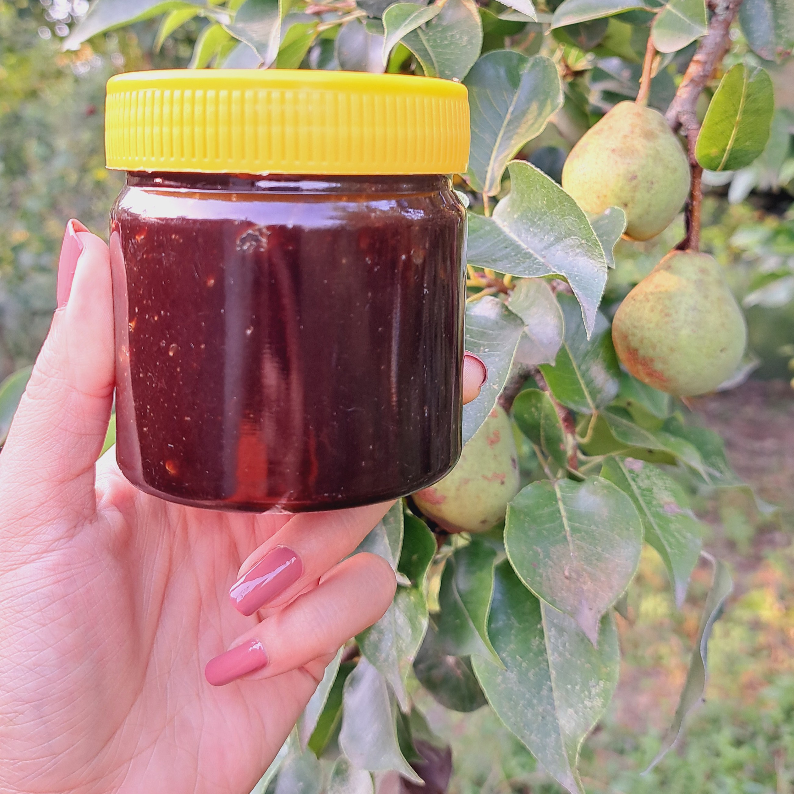 رب آلوچه شیرین خونگی محلی