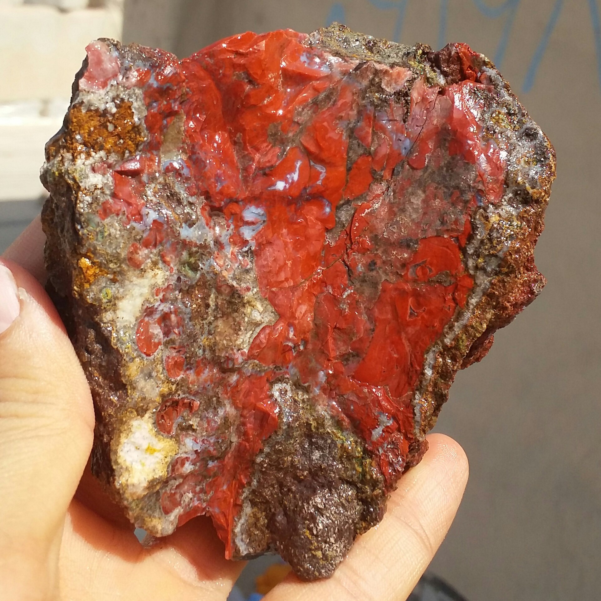 سنگ راف درشت جاسپر منظره سرخ 100 در 100 طبیعی خاص بی نظیر
کد 11227