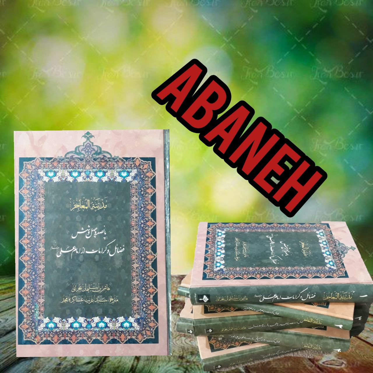 مدینه المعاجز 5 جلدی
