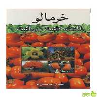 خرمالو کاشت، داشت و برداشت زهره سمیعی راد آییژ - سیب ترش - SibTorsh