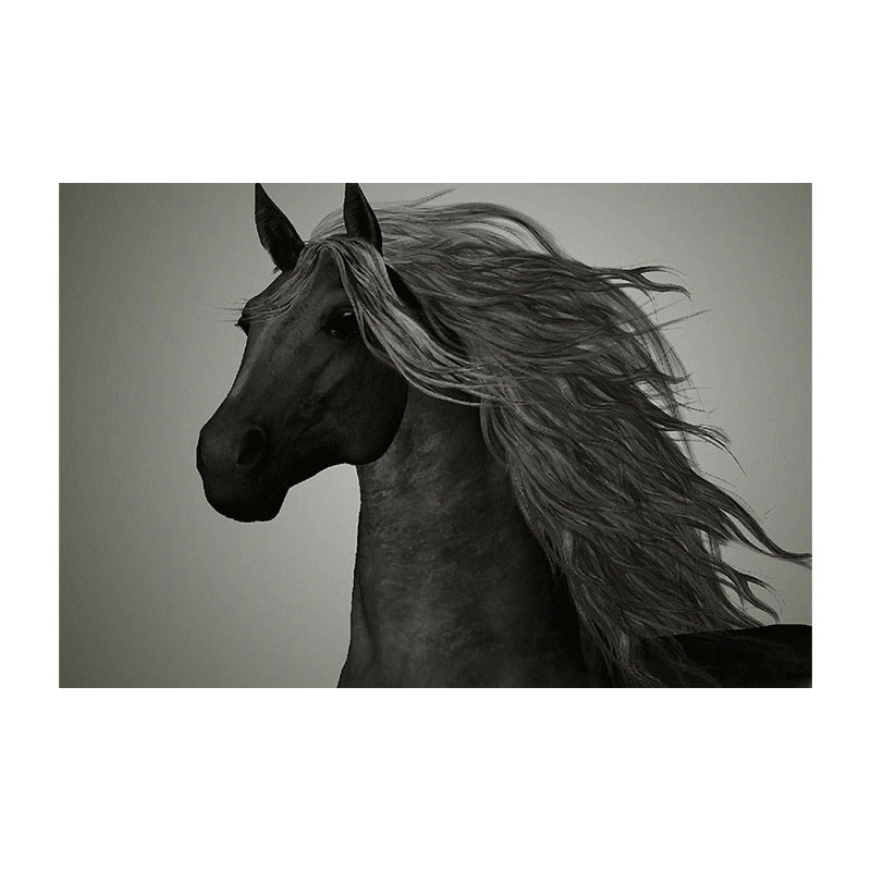 تابلو شاسی طرح اسب کد 6028