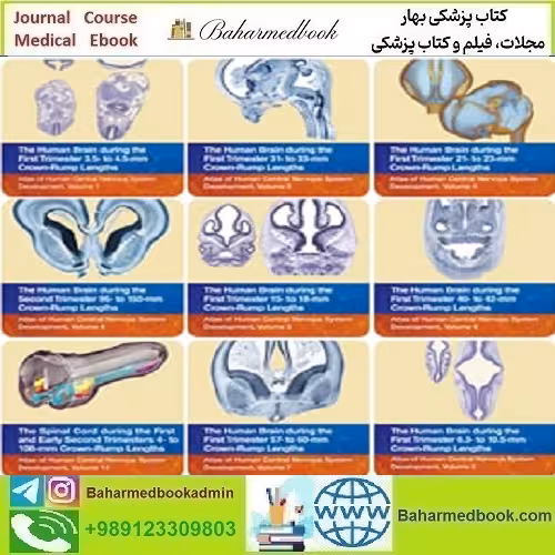 Atlas of Human Central Nervous System دانلود کتاب الکترونیکی