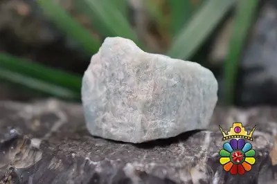 راف امازونیت