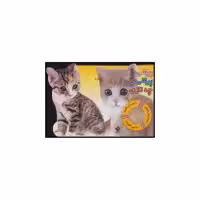 کتاب پیشی پیشی جان چه نازی اثر ر.م.تیرداد نشر جابیرو