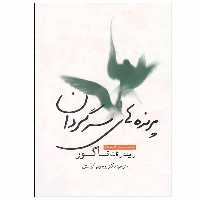 کتاب پرنده های سرگردان اثر رابیندرانات تاگور انتشارات سبزان