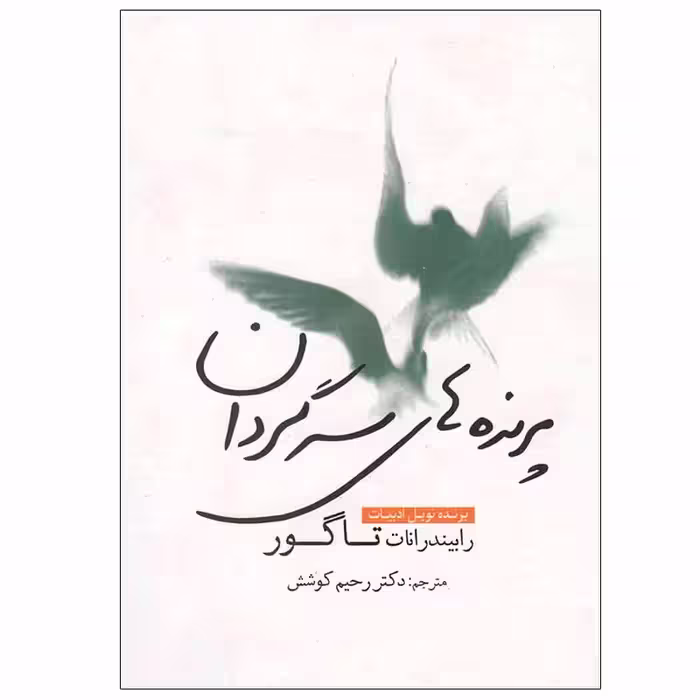 کتاب پرنده های سرگردان اثر رابیندرانات تاگور انتشارات سبزان