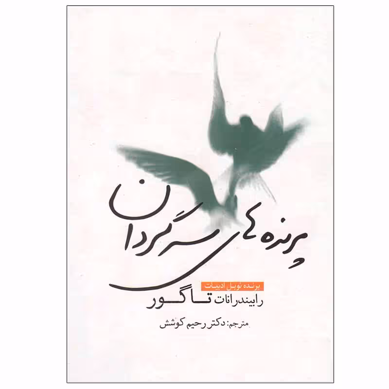 کتاب پرنده های سرگردان اثر رابیندرانات تاگور انتشارات سبزان