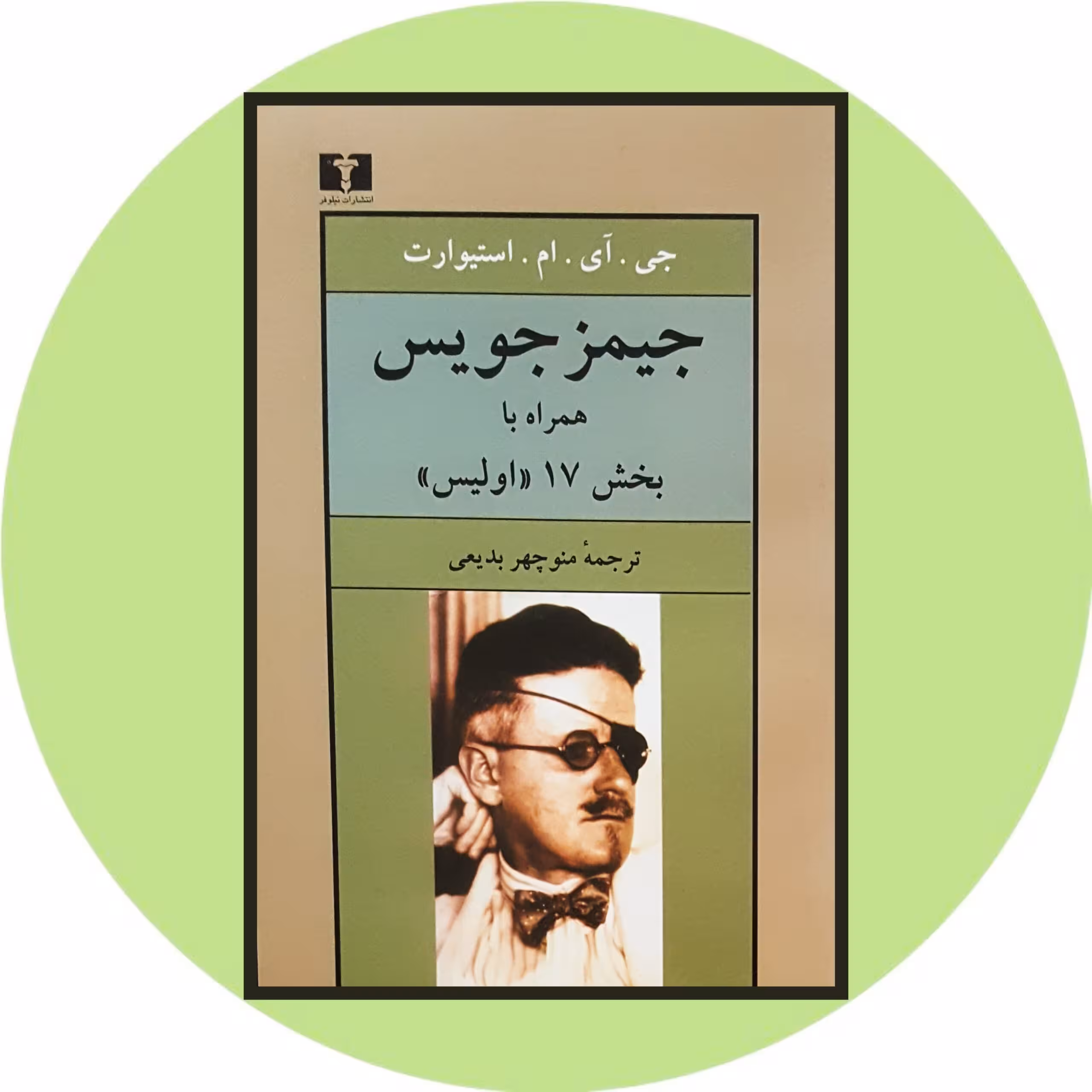 کتاب جیمز جویس همراه با بخش 17 "اولیس" - خرید با تخفیف چهل درصد از کتاب دایره قهوه ای -