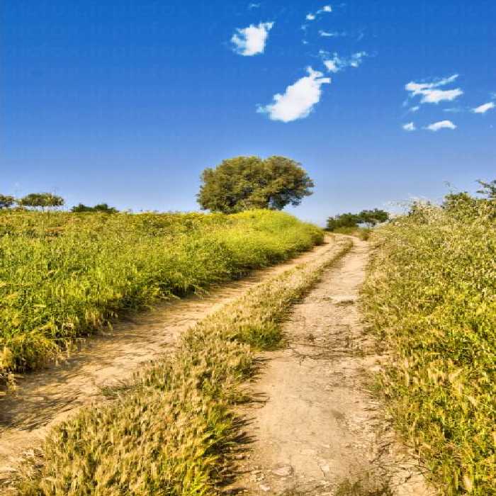 خرید و دانلود عکس Nature-Part-2 کد 35976 | پیک فاکس | Pic Fox