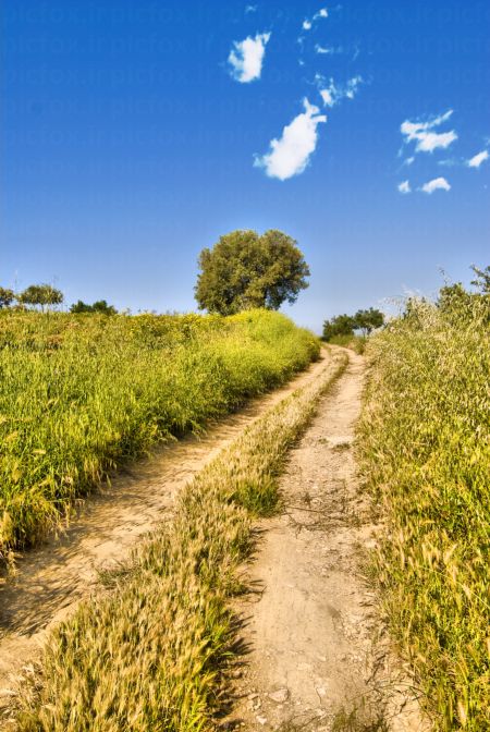 خرید و دانلود عکس Nature-Part-2 کد 35976 | پیک فاکس | Pic Fox